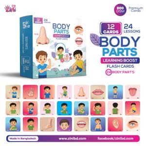 Body Parts | Zini Learning Boost Flash Cards | 6 Months–3 Years | 12 Cards | 24 Lessons