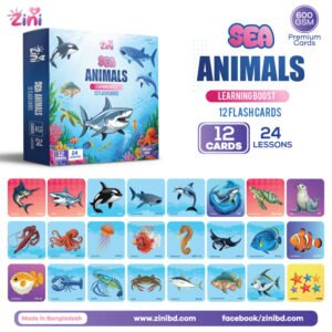Sea Animals | Learning Boost | 12 Cards