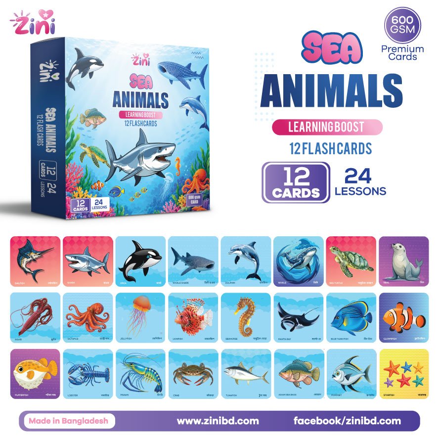 Sea Animals | Learning Boost | 12 Cards